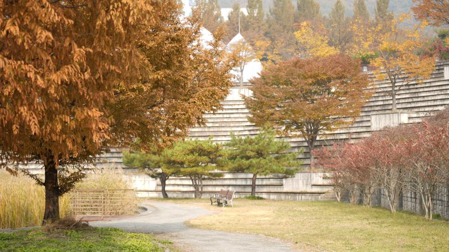 하늘공원