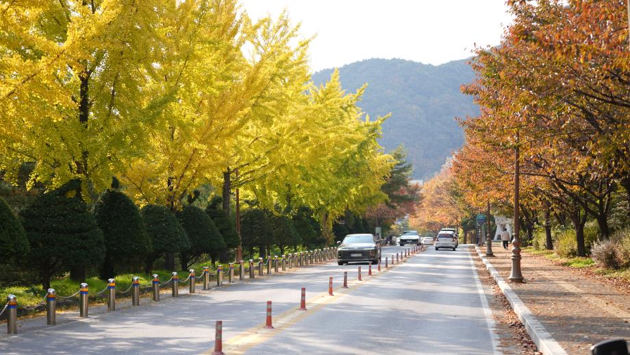 이학관 뒷 길